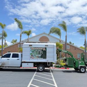 Ramborista Tree Service