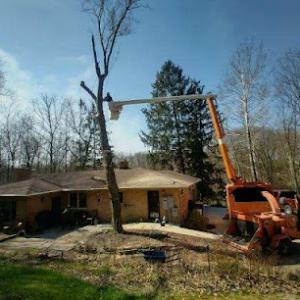 4 Seasons Tree Service
