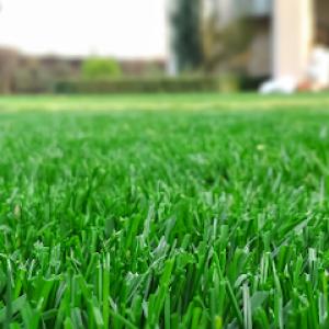 Wilkins Lawn & Landscape