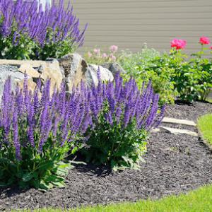 Ivan's Landscaping & Snow Removal