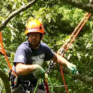 Greenpoint Tree Service