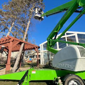 Alejandres Tree Service