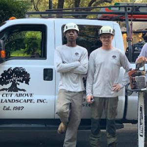 A Cut Above Tree & Landscape