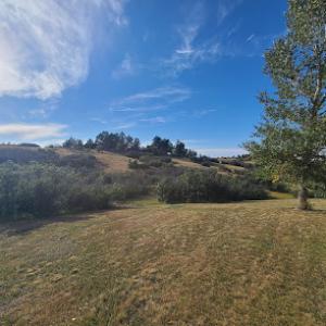 High Prairie Tree & Turf