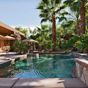 Desert Tree Spraying & Care