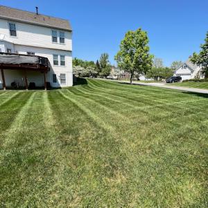 The Sarge Lawn & Landsculpting Services