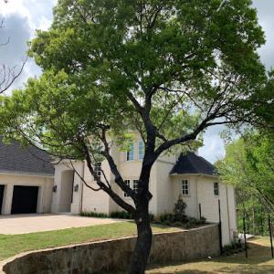 Barragan Tree Service