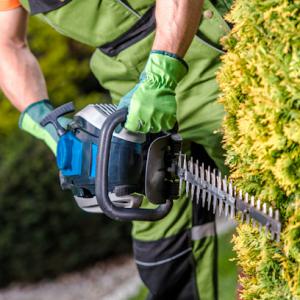 Brooklyn Tree Service Pros