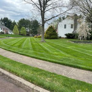 Woody Lawn & Landscape