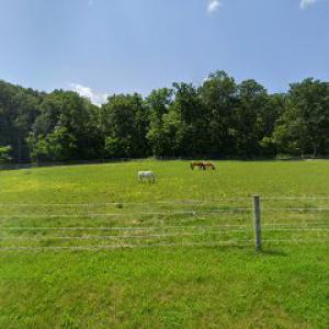 Heck Bros. Logging & Tree Service