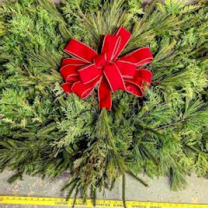 Schuren Nursery & Garden Center