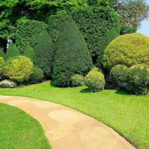 TPS Consulting & Landscaping