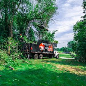 Priority Tree Experts