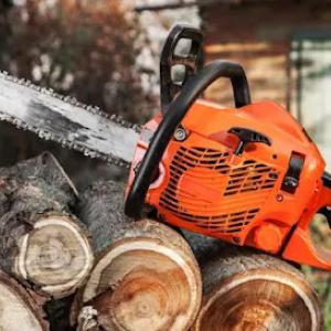 Chanhassen Tree Service