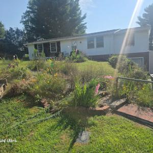 Troy’s Tree Service