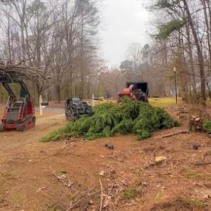 MacNeela’s Tree Service