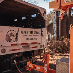 Alpha Tree Service 843