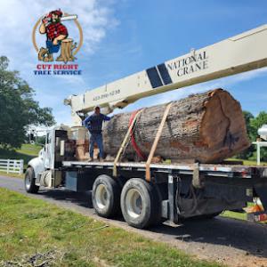 Cut Right Tree Service