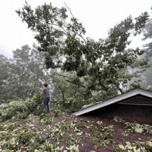 Anderson Gutter & Tree