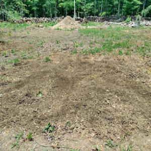 Brandon's Stump Grinding