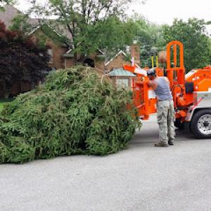 Pusateri Brothers Tree & Landscaping Service