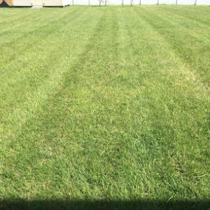 Dependable landscaping