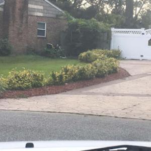 East Coast Drainage & Landscaping