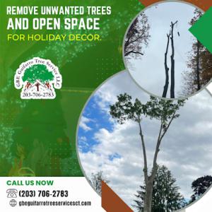 GBE Guifarro, LLC Tree Service