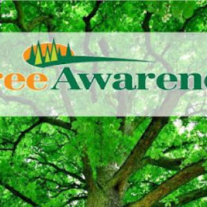 Tree Awareness