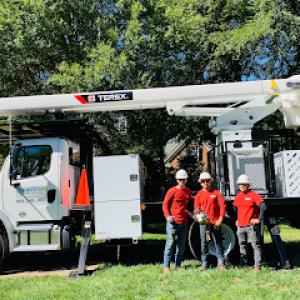 Clean Cuts Tree Service