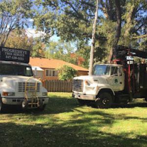 Progressive Tree Service
