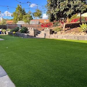 Johnny's Landscape & Maintenance