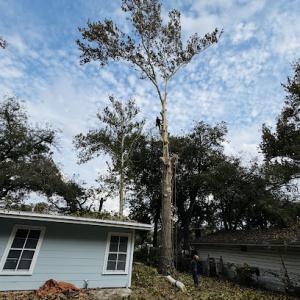 Mission City Arbor Group