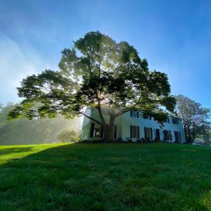 Gregory Forrest Lester