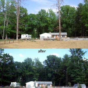 DEW Lawn & Tree Services