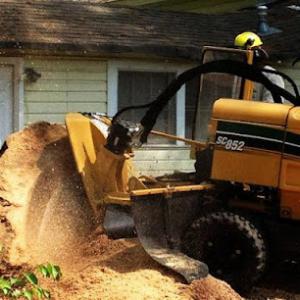 G & G Stump Removal
