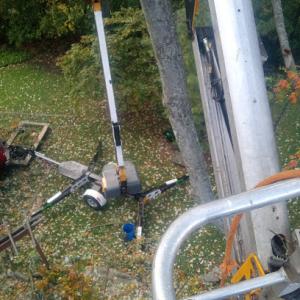 Cut Wood Tree Service