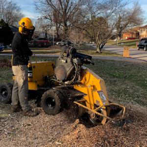 Key Stump Grinding