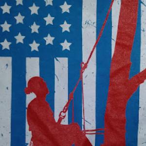 All American Tree Services