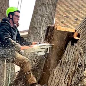 Jeppson Brothers Tree Removal