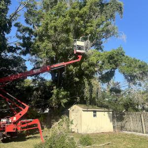 B&T's Tree Service