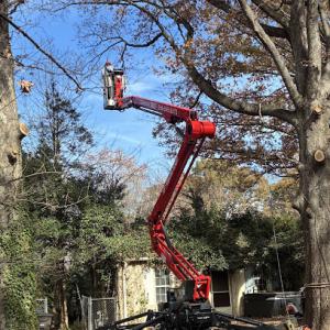 Dawson Tree Service