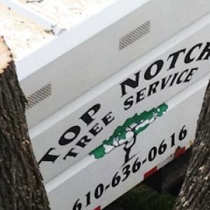 Top Notch Tree Service