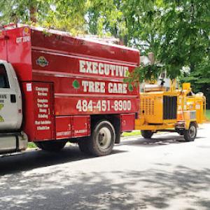 Executive Tree Care