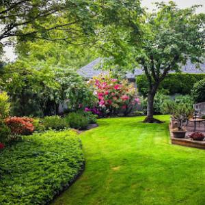 Space Coast Landscaping Contractors