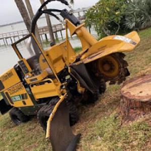 C&H Stump Removal & Tree Service