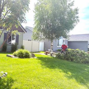 Austin's Tree Services