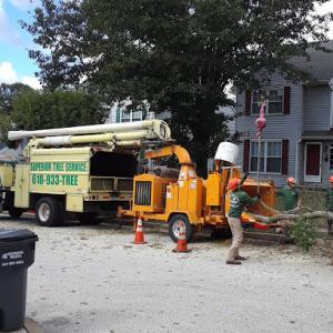Superior Tree Service