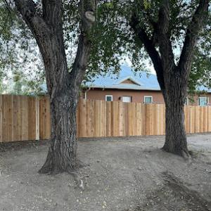 All Things Trees