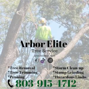 Arbor Elite